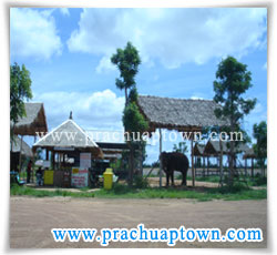 วัดห้วยมงคล วัดห้วยมงคล