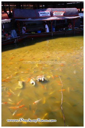 ตลาดน้ำหัวหินสามพันนาม ตลาดน้ำหัวหินสามพันนาม