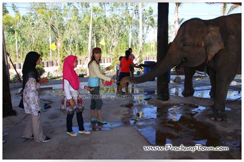 ตลาดน้ำหัวหินสามพันนาม ตลาดน้ำหัวหินสามพันนาม