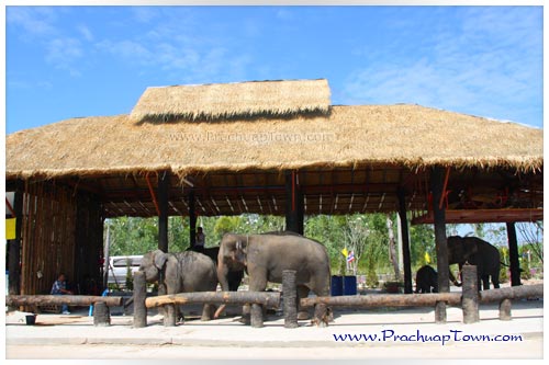 ตลาดน้ำหัวหินสามพันนาม ตลาดน้ำหัวหินสามพันนาม