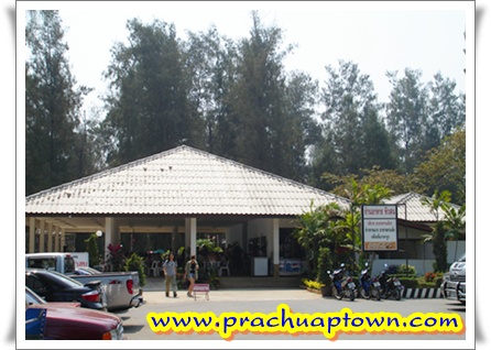 สวนสนประดิพัทธ์ สวนสนประดิพัทธ์