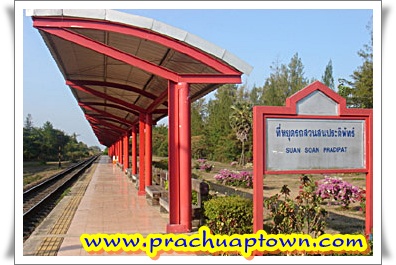 สวนสนประดิพัทธ์ สวนสนประดิพัทธ์