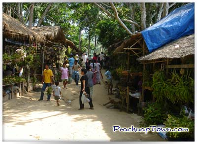 ด่านสิงขร ด่านสิงขร