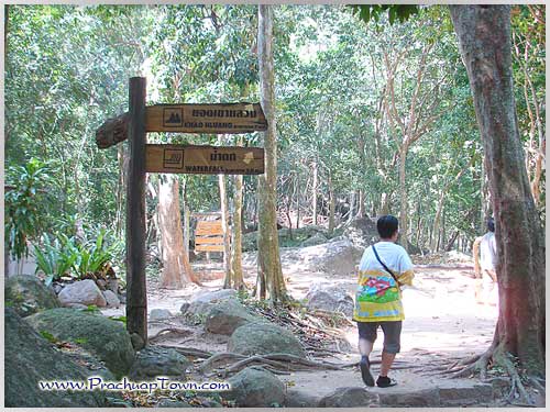 น้ำตกห้วยยาง น้ำตกห้วยยาง