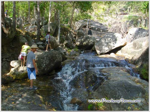 น้ำตกห้วยยาง น้ำตกห้วยยาง