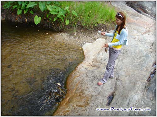 น้ำตกห้วยยาง น้ำตกห้วยยาง